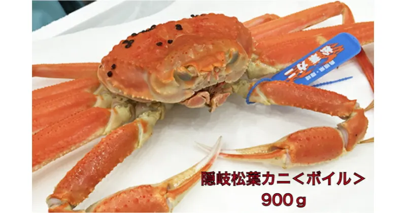 【ふるさと納税】 カニ 隠岐 松葉カニ 松葉ガニ 900g ボイル 蟹 かに