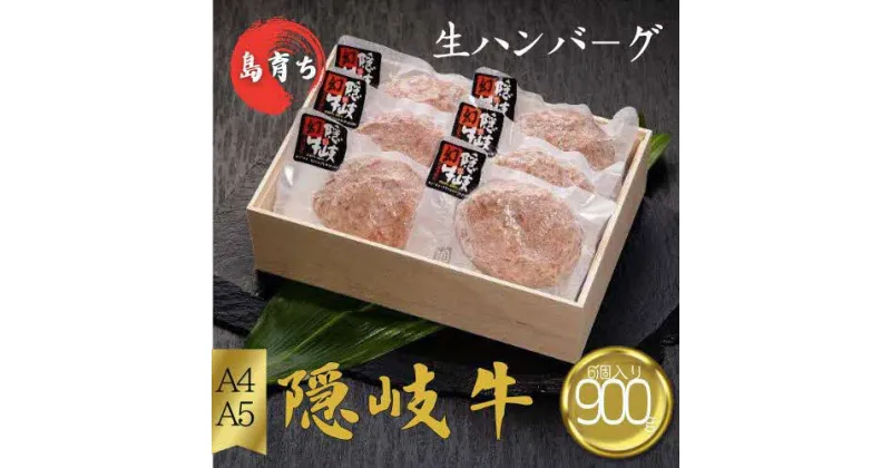 【ふるさと納税】隠岐牛プレミアム生ハンバーグ6個入り