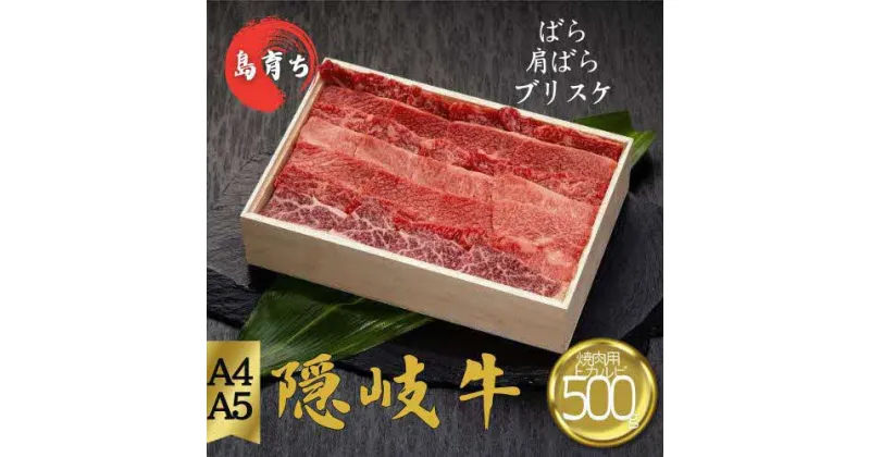 【ふるさと納税】隠岐牛（上カルビ）焼肉用500g