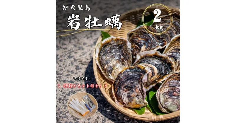 【ふるさと納税】知夫里島産 岩牡蠣 2kgブランド 岩牡蠣 生食可 牡蛎 牡蠣 かき