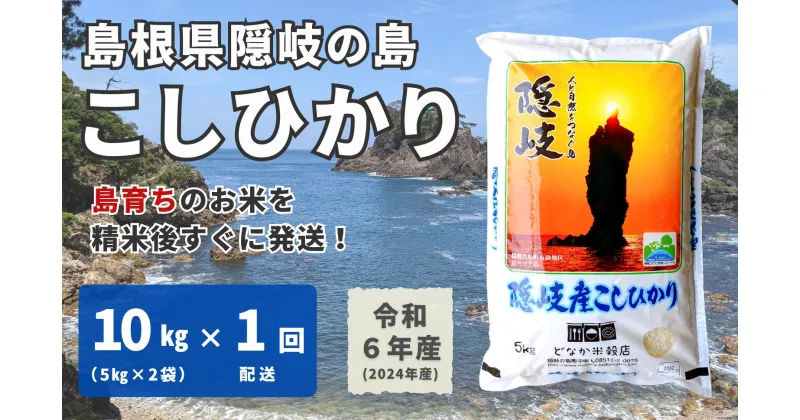 【ふるさと納税】【令和6年産】隠岐産こしひかり10Kg（5Kg×2袋）