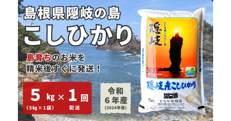 【ふるさと納税】【令和6年産】隠岐産こしひかり5Kg（5Kg×1袋）