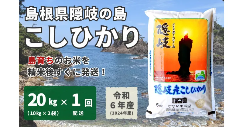 【ふるさと納税】【令和6年産】隠岐産こしひかり20Kg（10Kg×2袋）