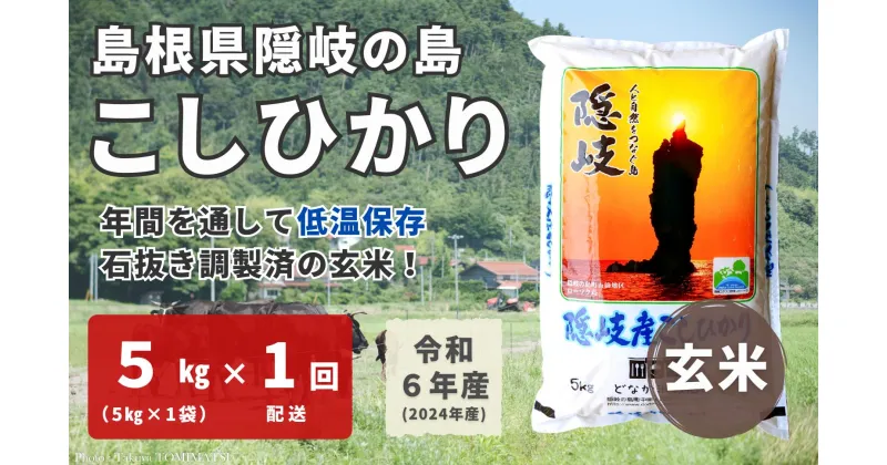 【ふるさと納税】【令和6年産】隠岐産 こしひかり 玄米 5kg（5kg×1袋）