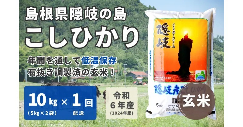 【ふるさと納税】【令和6年産】隠岐産 こしひかり 玄米 10kg（5kg×2袋）