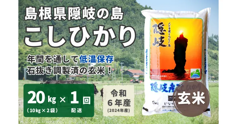 【ふるさと納税】【令和6年産】隠岐産 こしひかり 玄米 20kg（10kg×2袋）