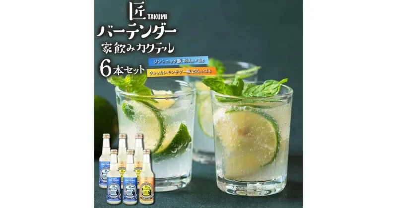 【ふるさと納税】匠バーテンダー 家飲み カクテル ジントニック＆レモンサワー 6本セット | お酒 さけ 人気 おすすめ 送料無料 ギフト