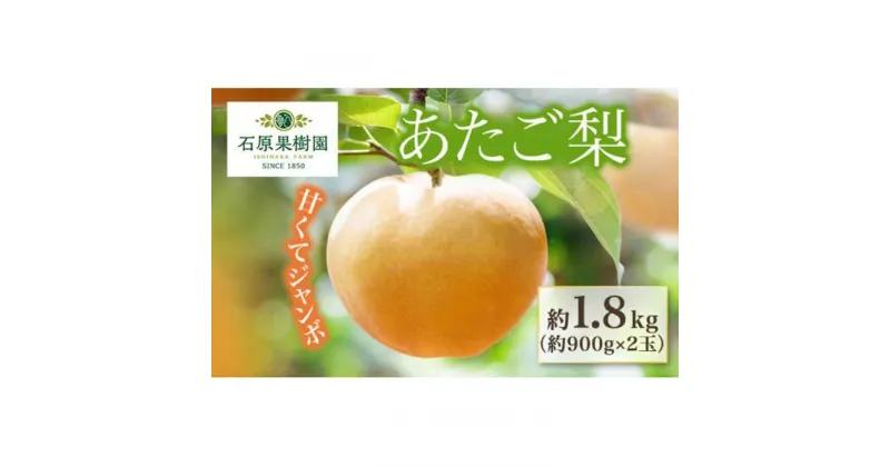 【ふるさと納税】梨 2024年 先行予約 あたご梨 約900g×2玉 化粧箱 ナシ なし 岡山県産 国産 フルーツ 果物 ギフト 石原果樹園 | フルーツ 果物 くだもの 食品 人気 おすすめ 送料無料