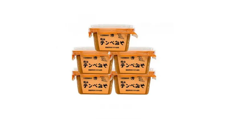 【ふるさと納税】岡山テンペみそ 300g×5個 | みそ 食品 発酵 加工食品 人気 おすすめ 送料無料