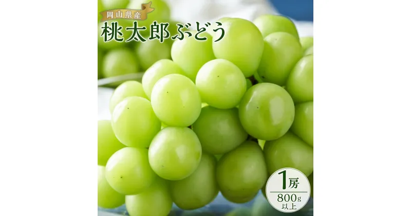 【ふるさと納税】ぶどう 2025年 先行予約 桃太郎 ぶどう 1房800g以上 ブドウ 葡萄 岡山県産 国産 フルーツ 果物 ギフト | フルーツ 果物 くだもの 食品 人気 おすすめ 送料無料