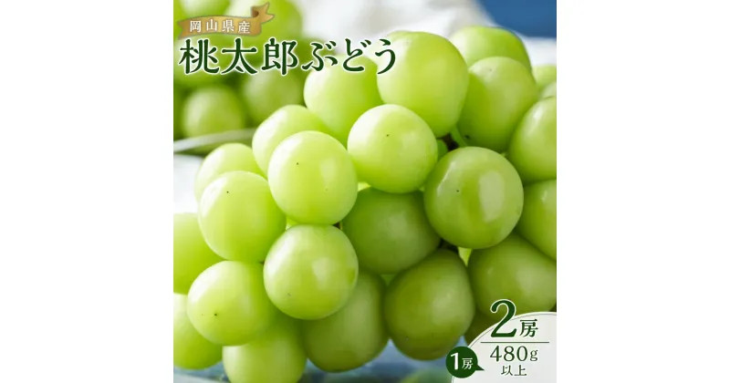 【ふるさと納税】ぶどう 2025年 先行予約 桃太郎 ぶどう 2房（1房480g以上） ブドウ 葡萄 岡山県産 国産 フルーツ 果物 ギフト | フルーツ 果物 くだもの 食品 人気 おすすめ 送料無料