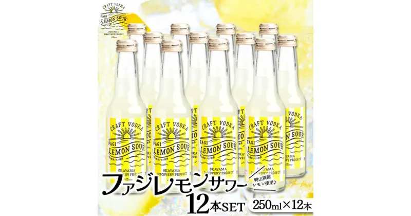 【ふるさと納税】ファジ レモンサワー 12本セット【配達不可：離島】 | お酒 さけ 人気 おすすめ 送料無料 ギフト