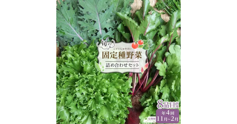 【ふるさと納税】野菜［2024年先行予約 4回定期便］ 旬の固定種野菜 バイオダイナミック農業 8品目前後（11月～2月のお届け）常温配送 | 野菜 やさい 食品 人気 おすすめ 送料無料