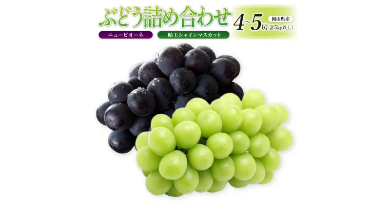 【ふるさと納税】ぶどう［2025年先行予約］晴王 シャインマスカット 4～5房＆ニューピオーネ 4～5房（計5kg以上） 詰め合わせ 岡山県産 | フルーツ 果物 くだもの 食品 人気 おすすめ 送料無料