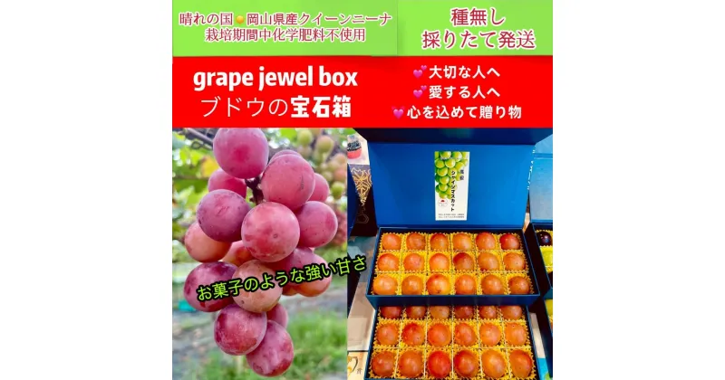 【ふるさと納税】ぶどう 2025年 先行予約 クイーンニーナ 大粒のみ 36粒 JEWELBOX ギフト 贈り物 岡山 国産 果物 フルーツ | フルーツ 果物 くだもの 食品 人気 おすすめ 送料無料