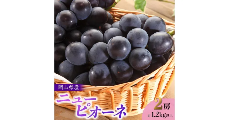 【ふるさと納税】ぶどう 2025年 先行予約 岡山県産 ニューピオーネ 2房 計1.2kg以上＜ジューシーで上品な甘みと高貴な香り＞ | フルーツ 果物 くだもの 食品 人気 おすすめ 送料無料