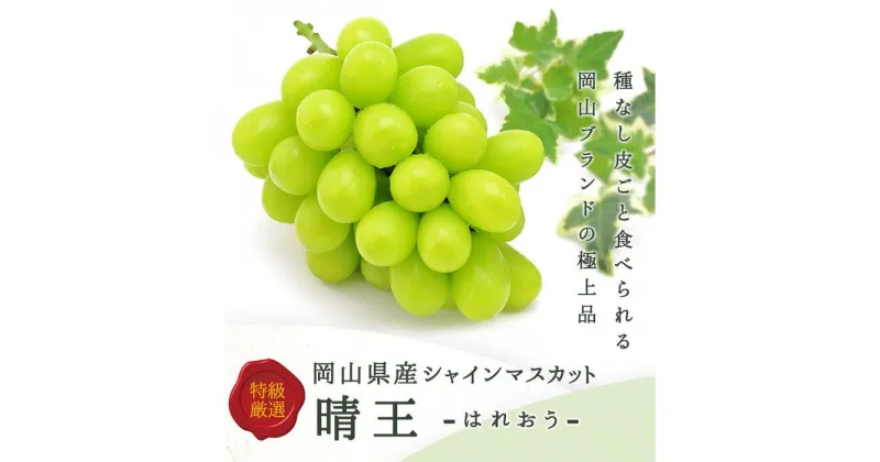 【ふるさと納税】岡山県産　シャインマスカット『晴王』1房(800g以上) 化粧箱入り | フルーツ 果物 くだもの 食品 人気 おすすめ 送料無料