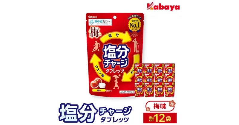 【ふるさと納税】カバヤ　塩分チャージタブレッツ 梅味 12袋 | カバヤ食品 kabaya かばや 飴 あめ タブレット 塩分チャージタブレッツ うめ ウメ お菓子 菓子 おやつ 大容量 送料無料 セット 岡山市 岡山 詰合せ 詰め合わせ セット