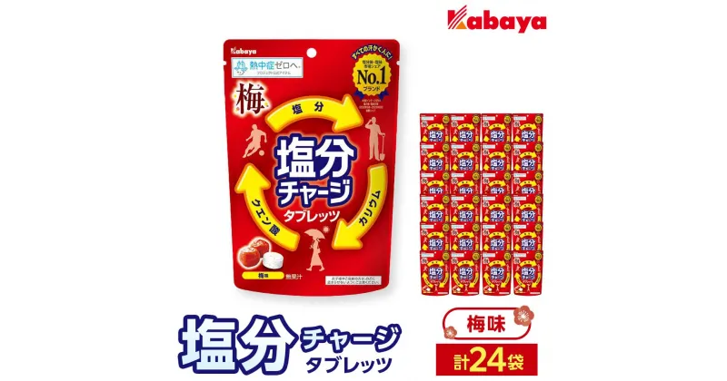 【ふるさと納税】カバヤ　塩分チャージタブレッツ 梅味 24袋 | カバヤ食品 kabaya かばや 飴 あめ タブレット 塩分チャージタブレッツ うめ ウメ お菓子 菓子 おやつ 大容量 送料無料 セット 岡山市 岡山 詰合せ 詰め合わせ セット