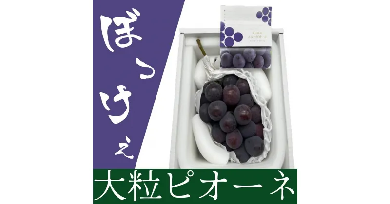 【ふるさと納税】ぶどう 2025年 先行予約 岡山県産 ぼっけえ大粒！ ピオーネ 1房 800g以上 化粧箱入り | フルーツ 果物 くだもの 食品 人気 おすすめ 送料無料