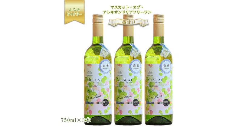 【ふるさと納税】ふなおワイナリー マスカット・オブ・アレキサンドリアフリーラン【極甘口】750ml×3本　白ワイン・お酒・白ワイン・極甘口・ワイン・アルコール