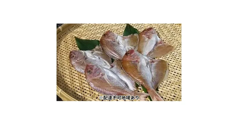 【ふるさと納税】天然鯛の一夜干し5尾（1尾約180g～200g）【配達不可：離島】　魚貝類・タイ・鯛・干物・鯛の一夜干し・真鯛・マダイ