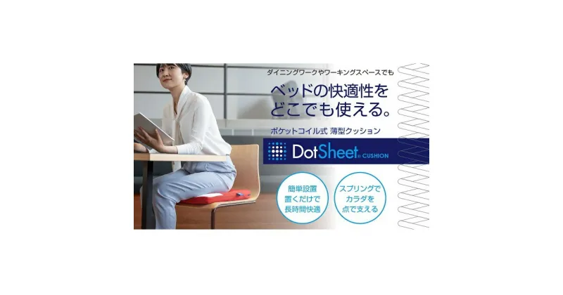 【ふるさと納税】コンセプト懐『DotSheet』クッション　雑貨・日用品・インテリア