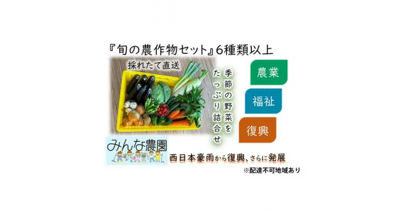 【ふるさと納税】倉敷市真備町みんな農園 『旬の農作物セット』　野菜・セット・詰合せ・農産物