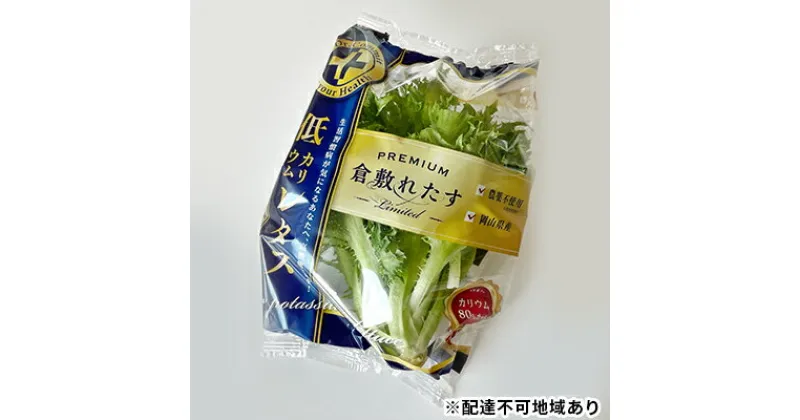 【ふるさと納税】倉敷産 低カリウム レタス 8パックセット　野菜 低カリウム 健康野菜