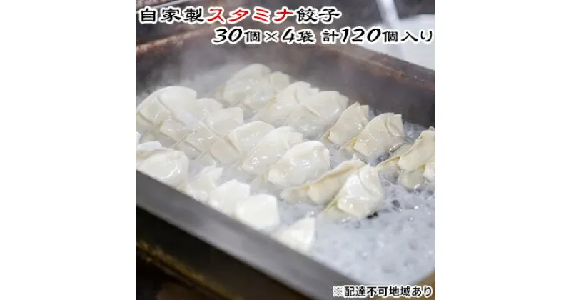 【ふるさと納税】にんにくたっぷり冷凍餃子 30個×4袋 合計120個入 皮から手作りのこだわり お子様にも大人気（ぎょうざ ギョーザ）もりもり亭 岡山県産　 惣菜 点心 中華料理 夕飯 おつまみ おかず