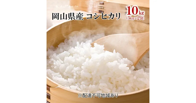 【ふるさと納税】コシヒカリ 10kg（5kg×2袋）令和6年産 岡山県産 米 お米 白米　 ライス ブランド米 銘柄米 ご飯 おにぎり お弁当 主食 光沢 粘り 食卓 和食 日本食