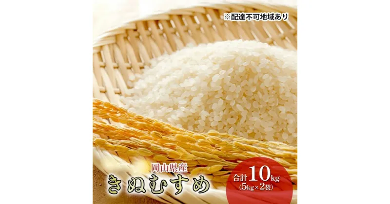 【ふるさと納税】米 きぬむすめ 10kg（5kg×2袋） 令和6年産 岡山県産 米 お米 白米　 ライス ブランド米 銘柄米 ご飯 おにぎり お弁当 主食 食卓 和食 日本食 もちもち ツヤ 旨み 特A