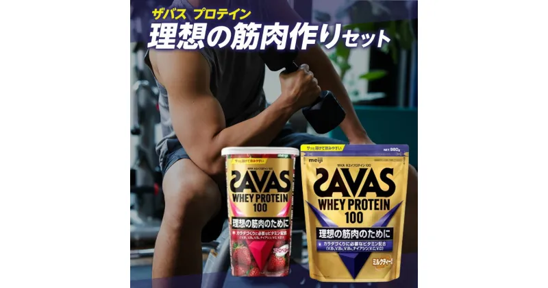 【ふるさと納税】ZAVAS 理想の筋肉作りセット　 筋トレ 運動 トレーニング 筋力 ダイエット 引き締め 体づくり 紅茶 本格 ミルクティー 風味 ビタミン B群 D群 体調 維持 ビタミンD