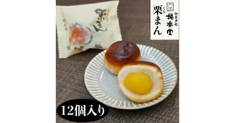 【ふるさと納税】栗まん 12個入 倉敷名物 橘香堂　 和菓子 お菓子 スイーツ 和スイーツ 大粒 大粒の栗 マロン 白あん しっとり 栗まんじゅう お茶菓子 おやつ