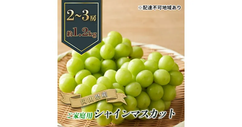 【ふるさと納税】ぶどう 2025年 先行予約 ご家庭用 シャイン マスカット 2～3房 合計約1.2kg ブドウ 葡萄 岡山県産 国産 フルーツ 果物 ギフト　 果物 ぶどう フルーツ デザート スイーツ 高糖度 甘い 種なし 大粒 人気 皮ごと 　お届け：2025年9月上旬～2025年10月下旬