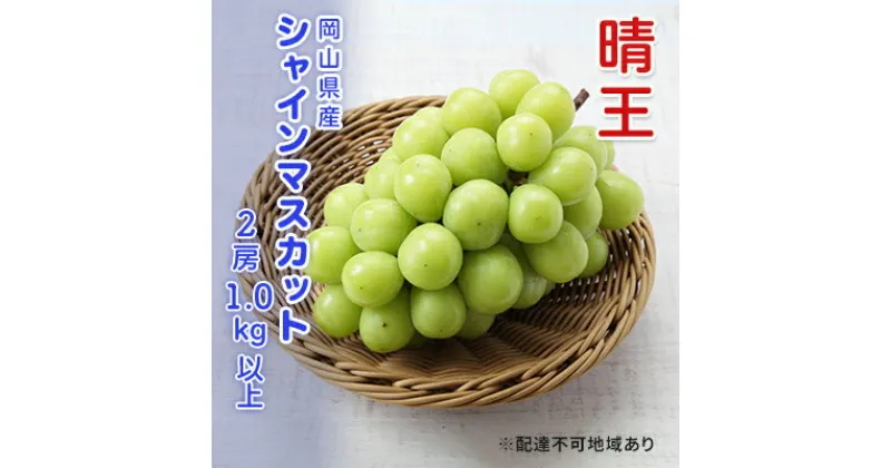 【ふるさと納税】ぶどう 2024年 先行予約 シャインマスカット 晴王 2房 合計1.0kg以上 ブドウ 葡萄 岡山県産 国産 フルーツ 果物 ギフト　 果物 ぶどう フルーツ デザート スイーツ 高糖度 甘い 種なし 大粒 人気 皮ごと 　お届け：2024年9月上旬～2024年12月下旬