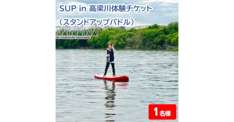 【ふるさと納税】SUP in 高梁川体験チケット 1名様 約2時間コース スタンドアップパドル 中州 観光 トラベル 旅行 宿泊 アクティビティ 岡山県 倉敷市　体験チケット