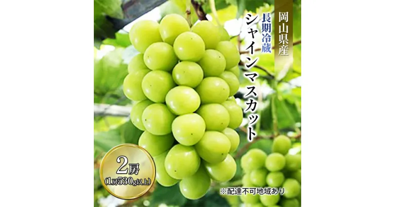 【ふるさと納税】ぶどう 2024年 先行予約 シャイン マスカット 2房入り（1房 530g以上）長期冷蔵 ブドウ 葡萄 岡山県産 国産 フルーツ 果物 ギフト　 果物 フルーツ 岡山のぶどう 　お届け：2024年11月中旬～2024年12月中旬