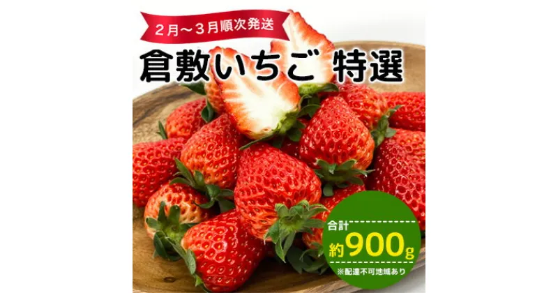 【ふるさと納税】【早期受付】倉敷 特選いちご 数量限定 紅ほっぺ かおり野 おまかせ 詰め合わせ 合計約900g 岡山県産　倉敷市　お届け：2024年12月上旬～2025年3月下旬