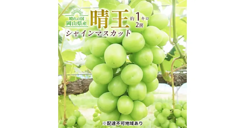 【ふるさと納税】ぶどう 2024年 先行予約 シャイン マスカット 晴王 2房入り 合計約1kg 大粒 種無し ブドウ 葡萄 岡山県産 国産 フルーツ 果物 ギフト 橋田商店　 皮ごと 種なし 高糖度 大粒 岡山のぶどう 岡山のフルーツ 　お届け：2024年9月中旬～2024年11月上旬