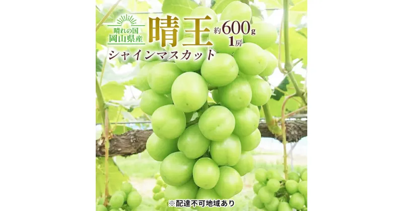 【ふるさと納税】ぶどう 2024年 先行予約 シャイン マスカット 晴王 1房 約600g 大粒 種無し ブドウ 葡萄 岡山県産 国産 フルーツ 果物 ギフト 橋田商店　 皮ごと 種なし 高糖度 大粒 岡山のぶどう 岡山のフルーツ 　お届け：2024年9月中旬～2024年11月上旬