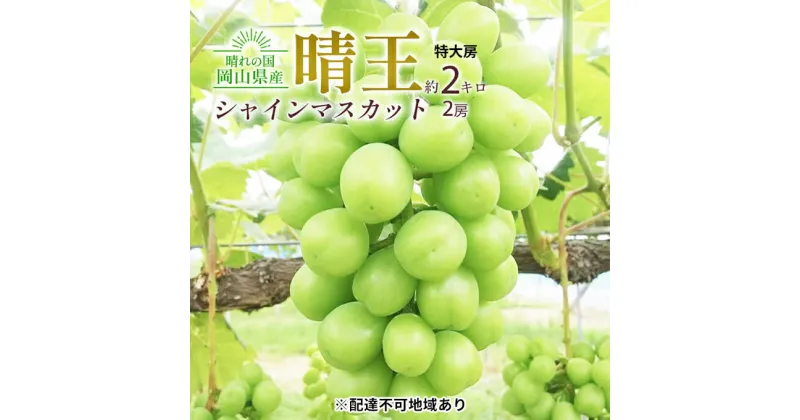 【ふるさと納税】ぶどう 2024年 先行予約 シャイン マスカット 晴王 特大房 2房入り 合計約2kg 大粒 種無し ブドウ 葡萄 岡山県産 国産 フルーツ 果物 ギフト 橋田商店　 皮ごと 種なし 高糖度 大粒 岡山のぶどう 　お届け：2024年9月中旬～2024年11月上旬