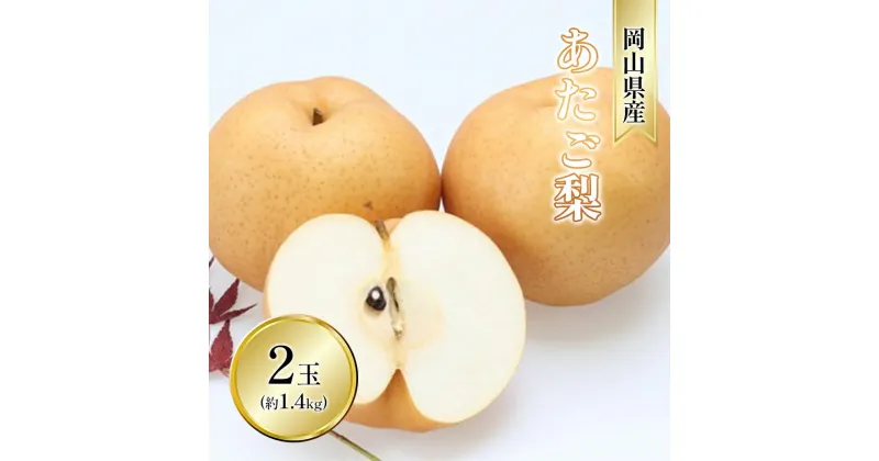 【ふるさと納税】梨 2024年 先行予約 あたご梨 2玉 青秀以上 (約1.4kg) 化粧箱入り　倉敷市　お届け：2024年11月10日～2024年12月20日