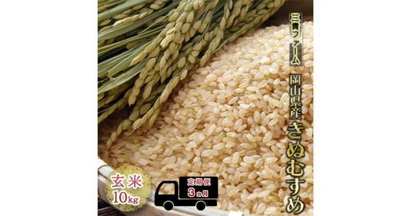 【ふるさと納税】3ヵ月 定期便 令和6年度産 岡山県産 きぬむすめ 玄米 10kg 米 お米 コメ おこめ 3回 岡山　定期便　お届け：2024年10月15日～2025年10月15日