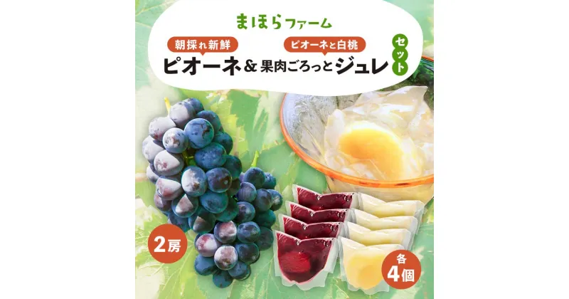 【ふるさと納税】★レビューキャンペーン★ ＜先行予約・令和7年度産＞ 朝採れ新鮮ピオーネ2房&ピオーネと白桃果肉ごろっとジュレセット TY0-0801