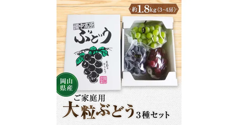 【ふるさと納税】先行予約 2024年10月発送開始予定 岡山県産 ご家庭用 大粒ぶどう3種セット 訳あり TY0-0331