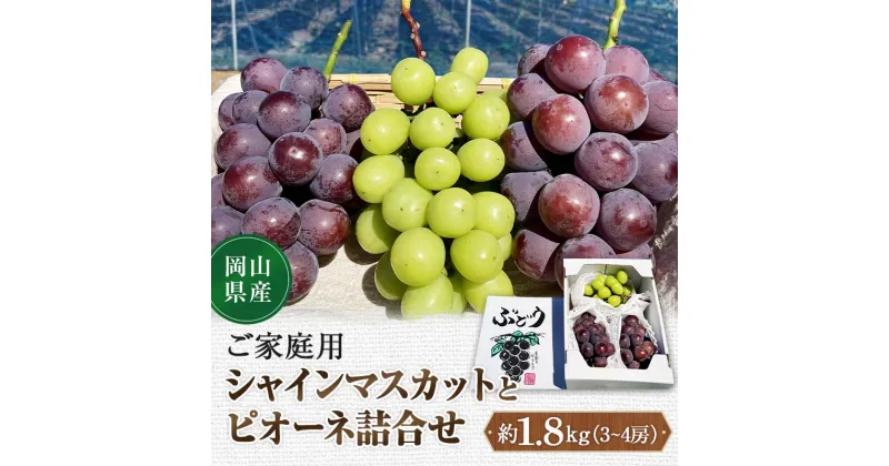 【ふるさと納税】先行予約 2024年10月発送開始予定 岡山県産 ご家庭用 シャインマスカットとピオーネ詰合せ 訳あり TY0-0330