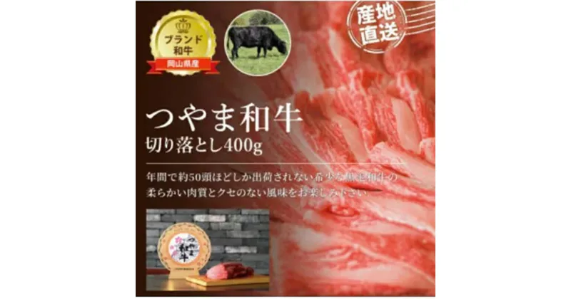 【ふるさと納税】★レビューキャンペーン★＜岡山県産黒毛和牛＞つやま和牛切り落とし400g TY0-0641