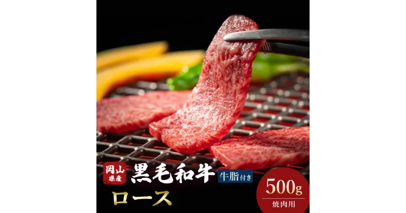 【ふるさと納税】★レビューキャンペーン★＜岡山県産黒毛和牛＞ロース 500g (焼肉用) TY0-0367