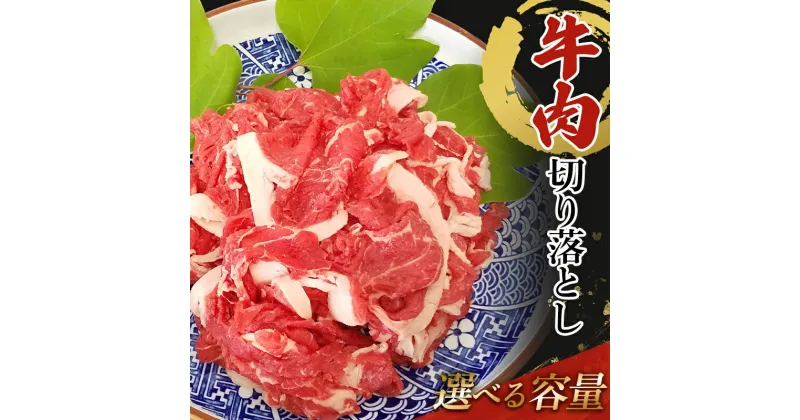 【ふるさと納税】★レビューキャンペーン★＼容量が選べる！／ 牛肉 切り落とし 1kg（500g×2）・1.5kg（500g×3）・2kg（500g×4） TY0-0611var